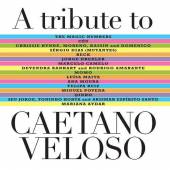  A TRIBUTE TO CAETANO VELOSO - supershop.sk