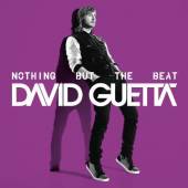 GUETTA DAVID  - CD NOTHING BUT THE B..