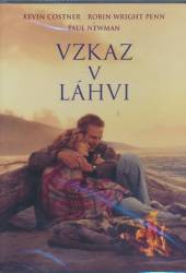 FILM  - DVD VZKAZ V LAHVI DVD (DAB.)