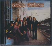 LYNYRD SKYNYRD  - CD PRONOUNCED 'LEH-'NERD 'SKIN-'NERD