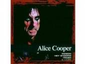 COOPER A.  - CD COLLECTIONS
