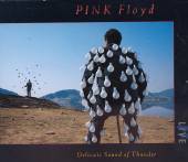 PINK FLOYD  - 2xCD DELICATE SOUND OF THUNDER