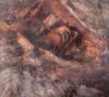 CONVERGE  - VINYL UNLOVED & WEEDED OUT [VINYL]