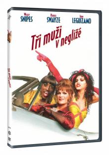 FILM  - DVD TRI MUZI V NEGLIZE