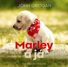 PROCHAZKA ALES  - CD GROGAN: MARLEY A JA (MP3-CD)