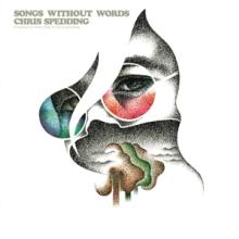 SPEDDING CHRIS  - CD SONGS WITHOUT WORDS